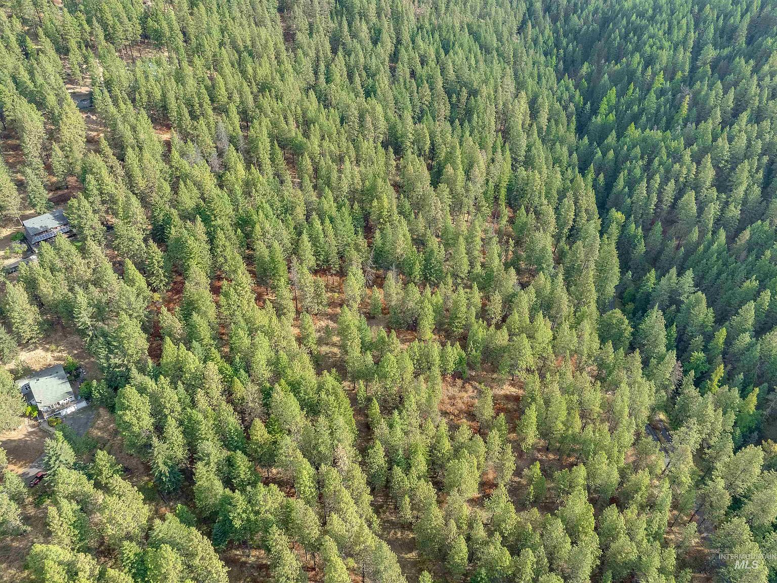 Tbd Foothill Rd Moscow, ID 83843 - Thumbnail 2