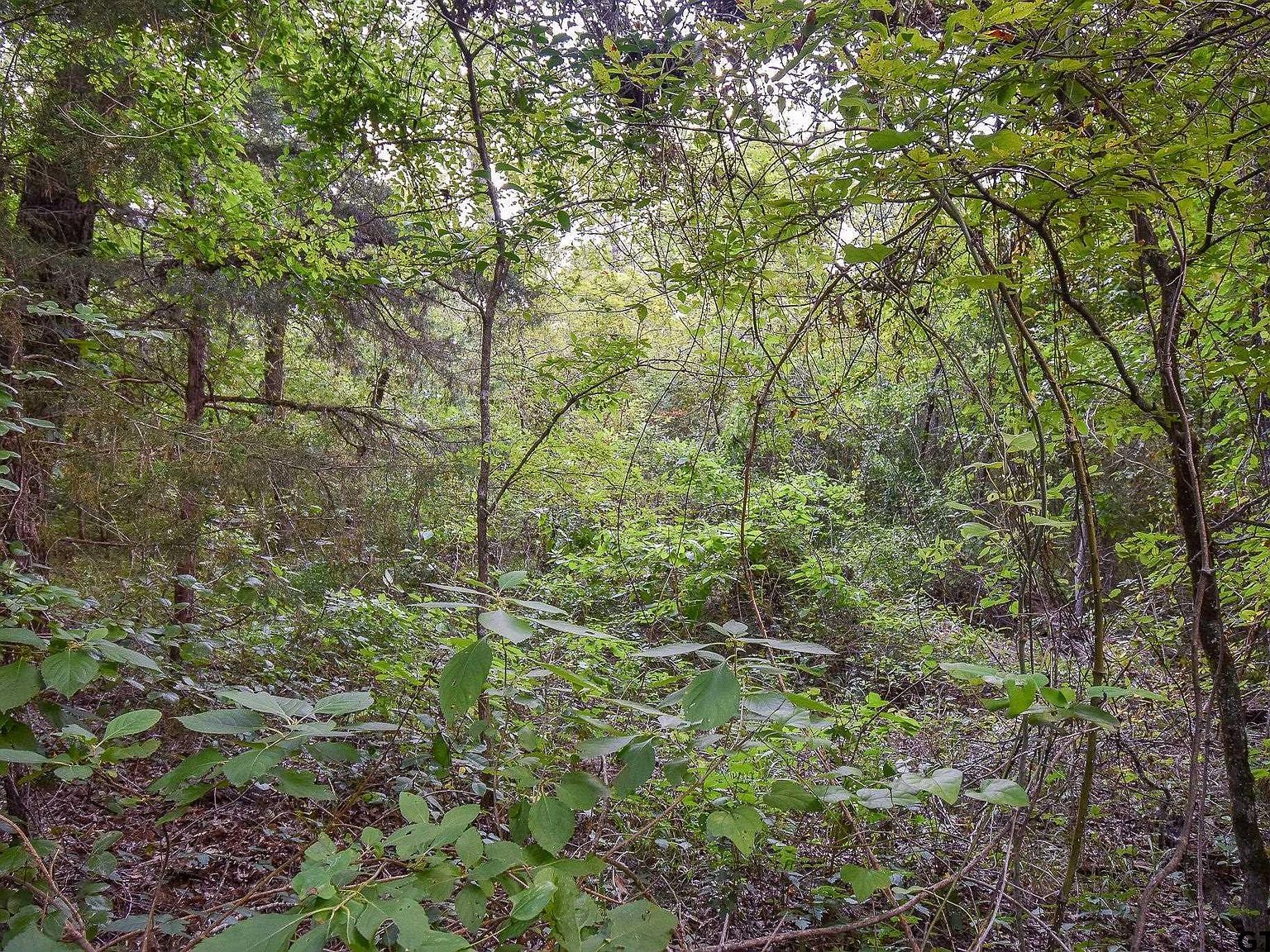 Vz County Road 1703 Grand Saline, TX 75140 - Thumbnail 2