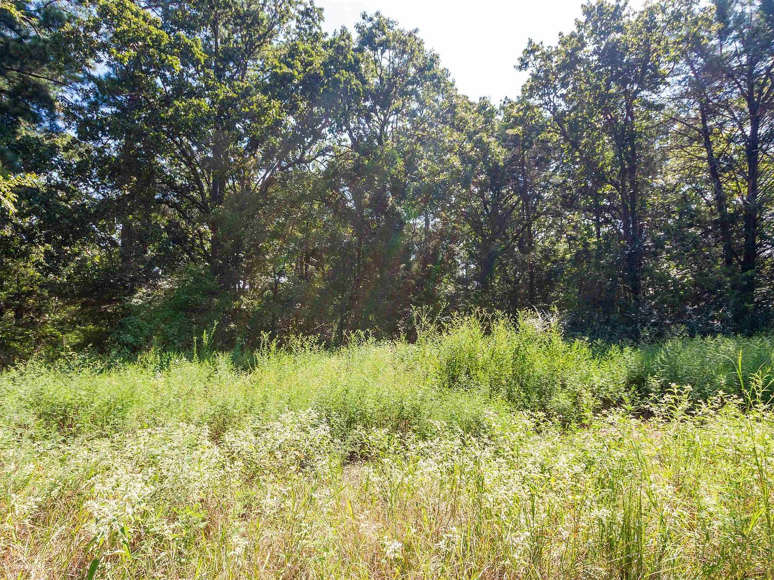 13234 Mountainview Rd S Winona, TX 75792 - Thumbnail 2