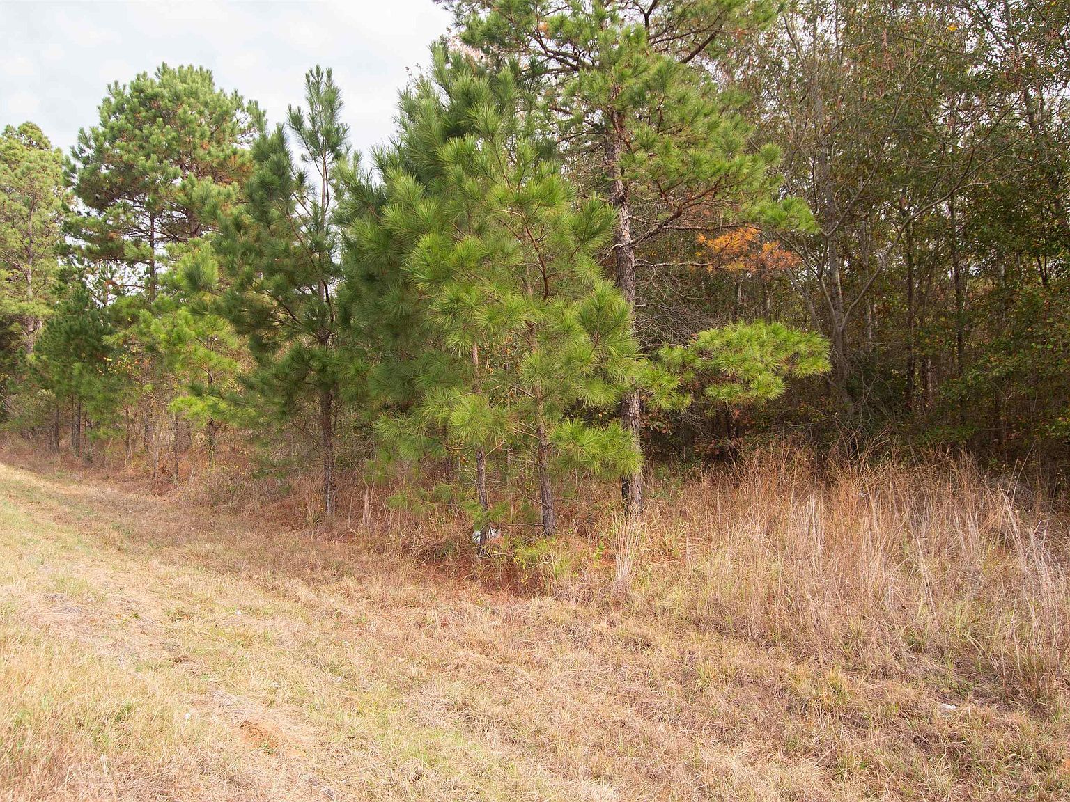 2012 Fm Overton, TX 75684 - Thumbnail 2