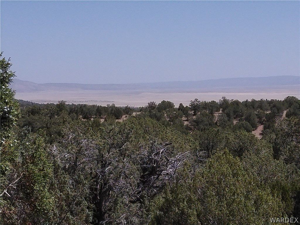 147 W Antelope Run Rd Seligman, AZ 86337 - Thumbnail 2