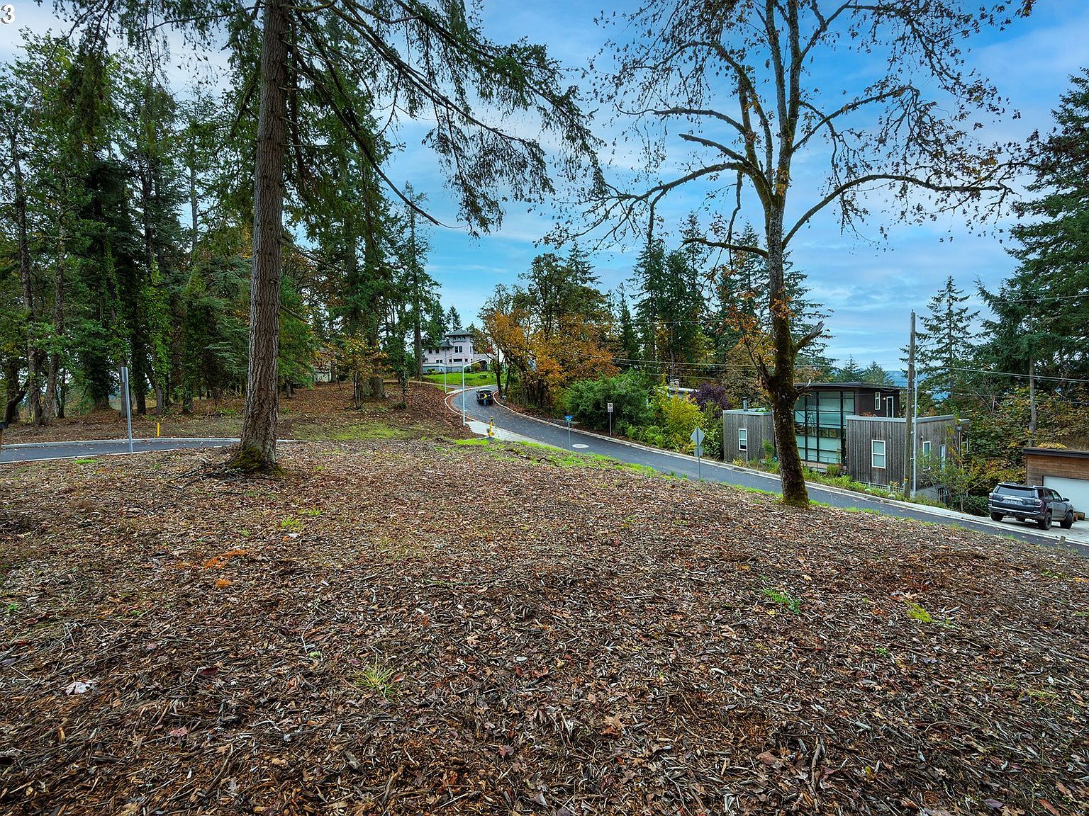 2985 Capital Dr #3 Eugene, OR 97403 - Thumbnail 2