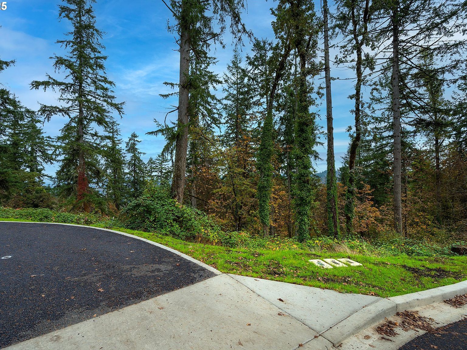 2629 Cupola Dr #10 Eugene, OR 97403 - Thumbnail 2