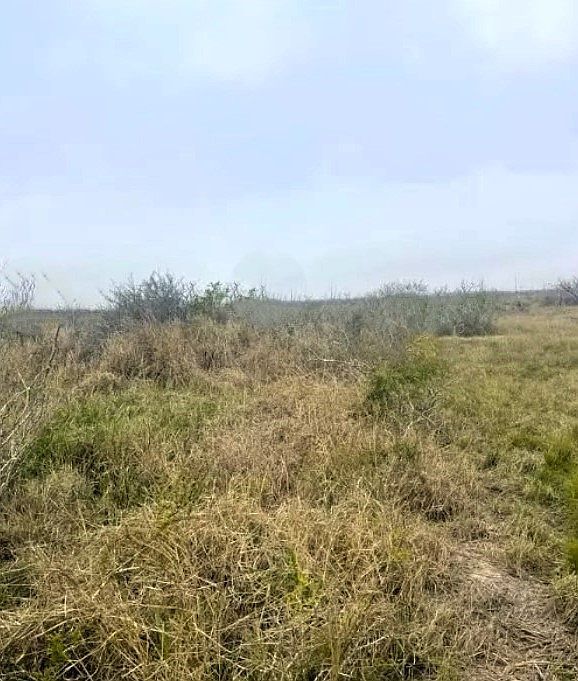 259 Coastal Wildwood Dr Rockport, TX 78382  | Land/Lot
