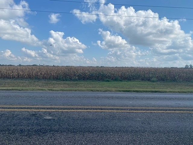 0 E General Cavazos Blvd Kingsville, TX 78363 - Thumbnail 2