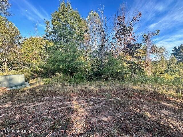 152 Pineberry East Rd LOT 166 Oak Ridge, TN 37830 - Thumbnail 2