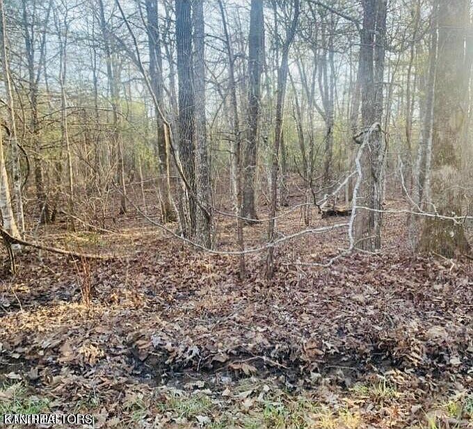 120 Newcastle Ln Fairfield Glade, TN 38558 | Land/Lot