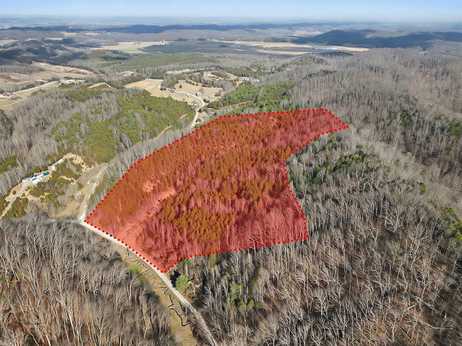 2692 Bear Creek Rd Bybee, TN 37713 - Thumbnail 2