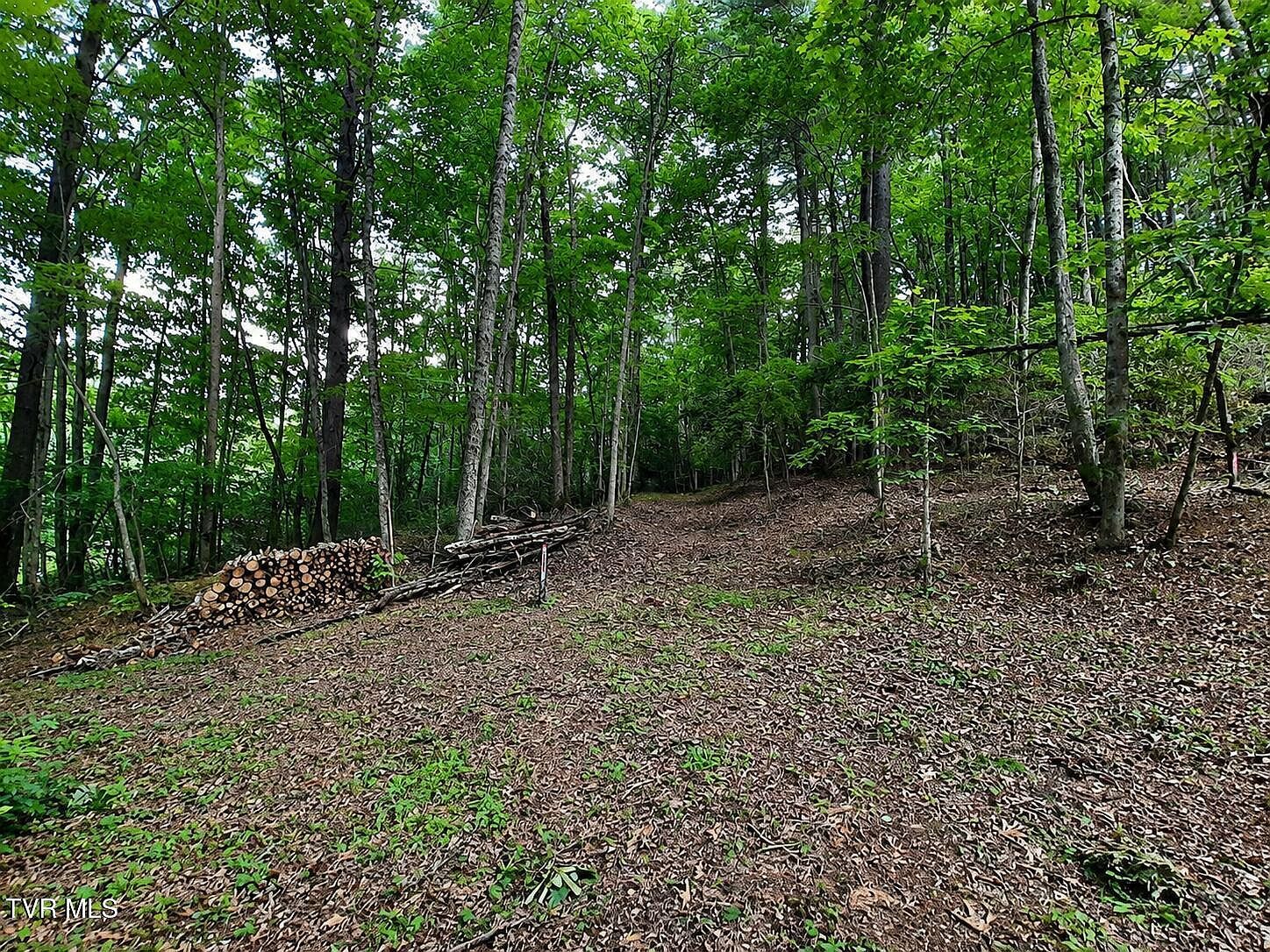 Willow Ln Greeneville, TN 37743, 37743