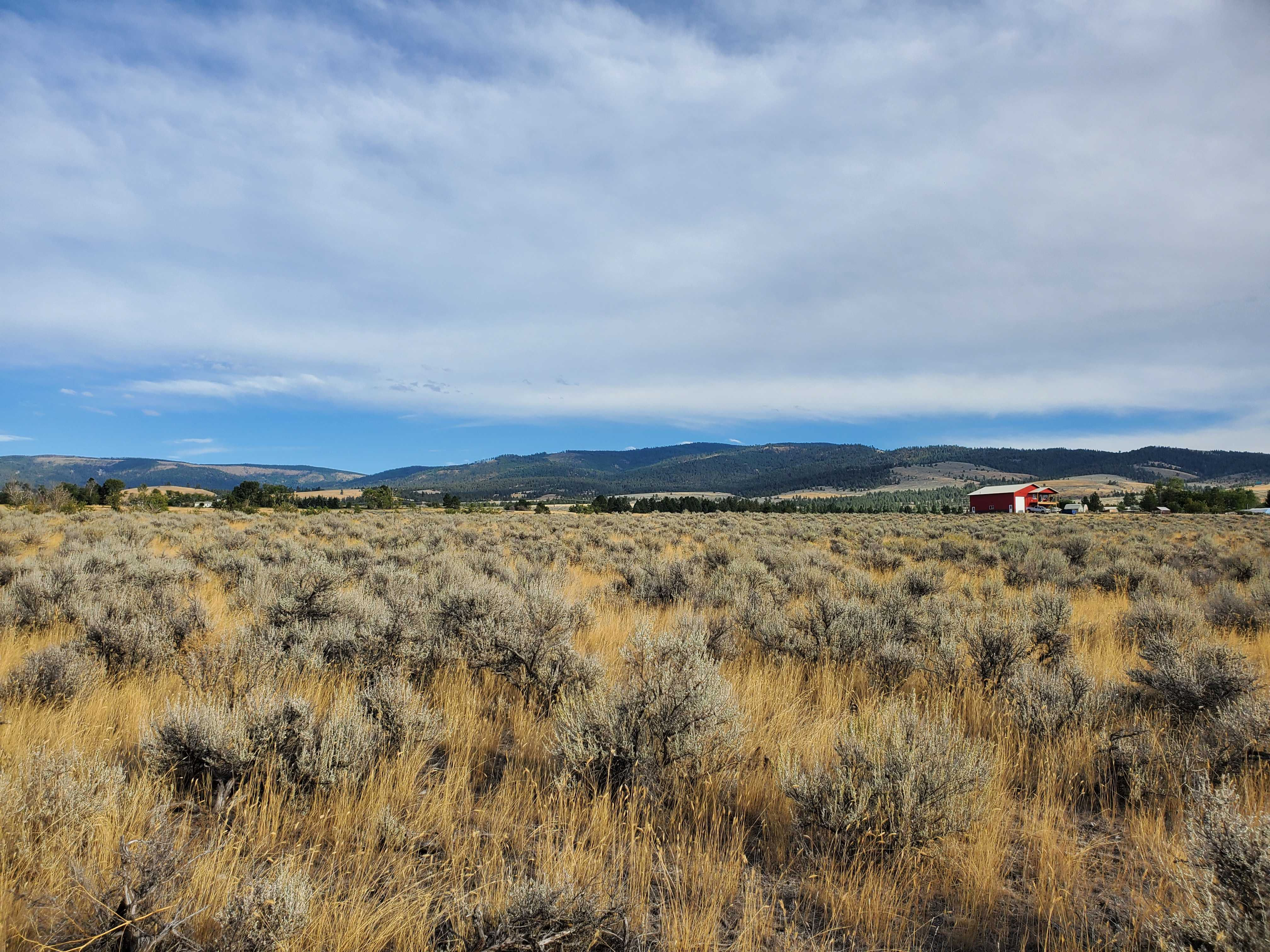 Bessie Lane, Stevensville, MT, 59870 - Thumbnail 2