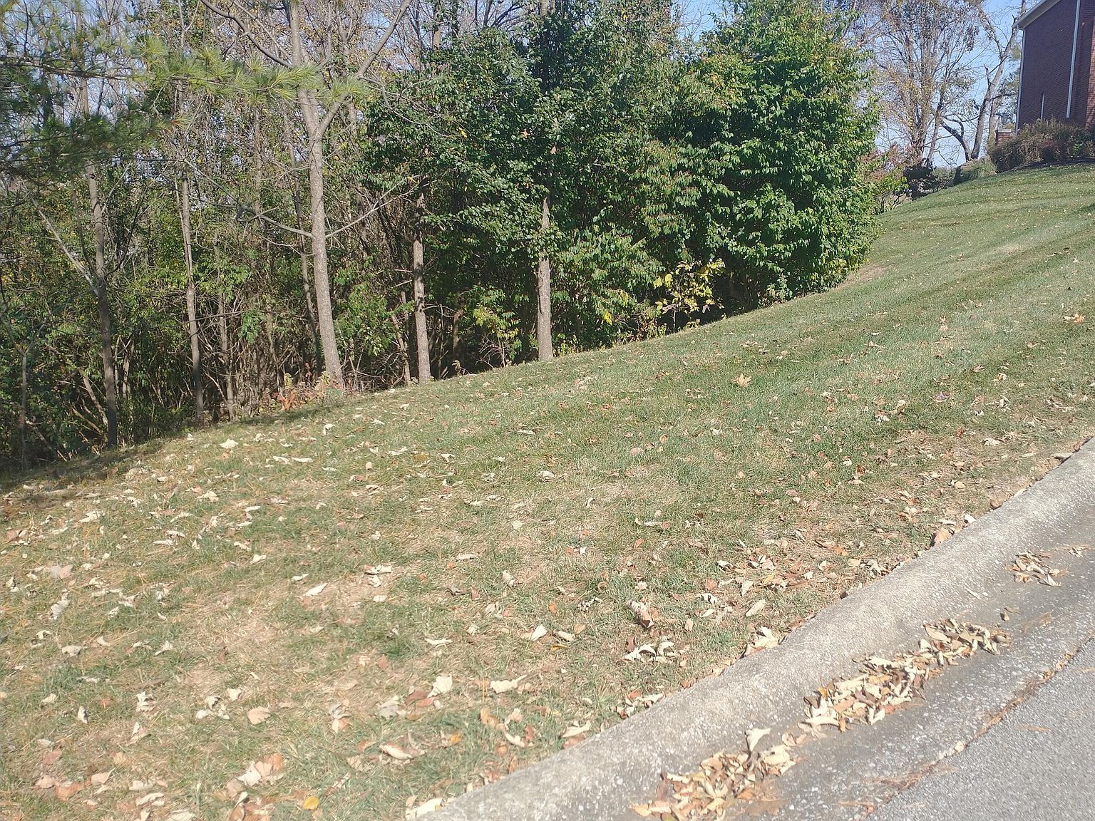 102 Augusta Dr Winchester, KY 40391 - Thumbnail 2