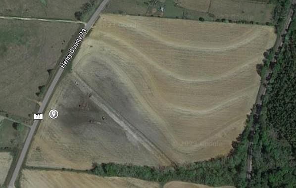 0 County Road 73 Newville, AL 36353  | Land/Lot