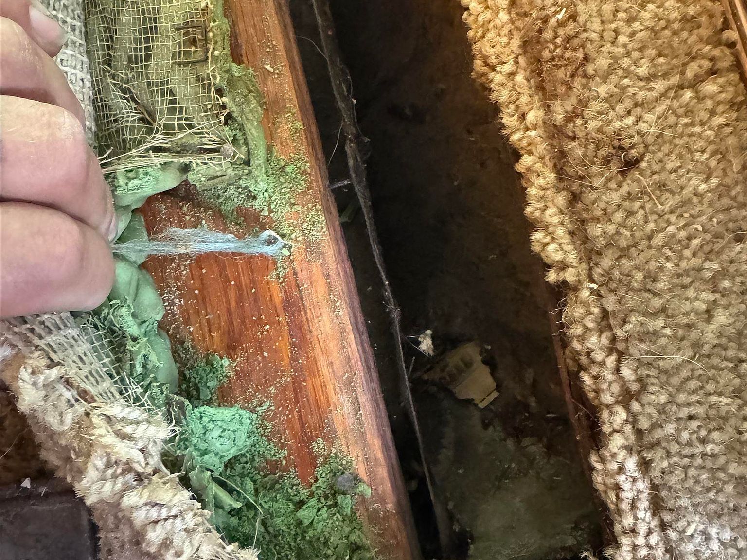 3521 Laurel Ave Omaha, NE 68111 - Thumbnail 2