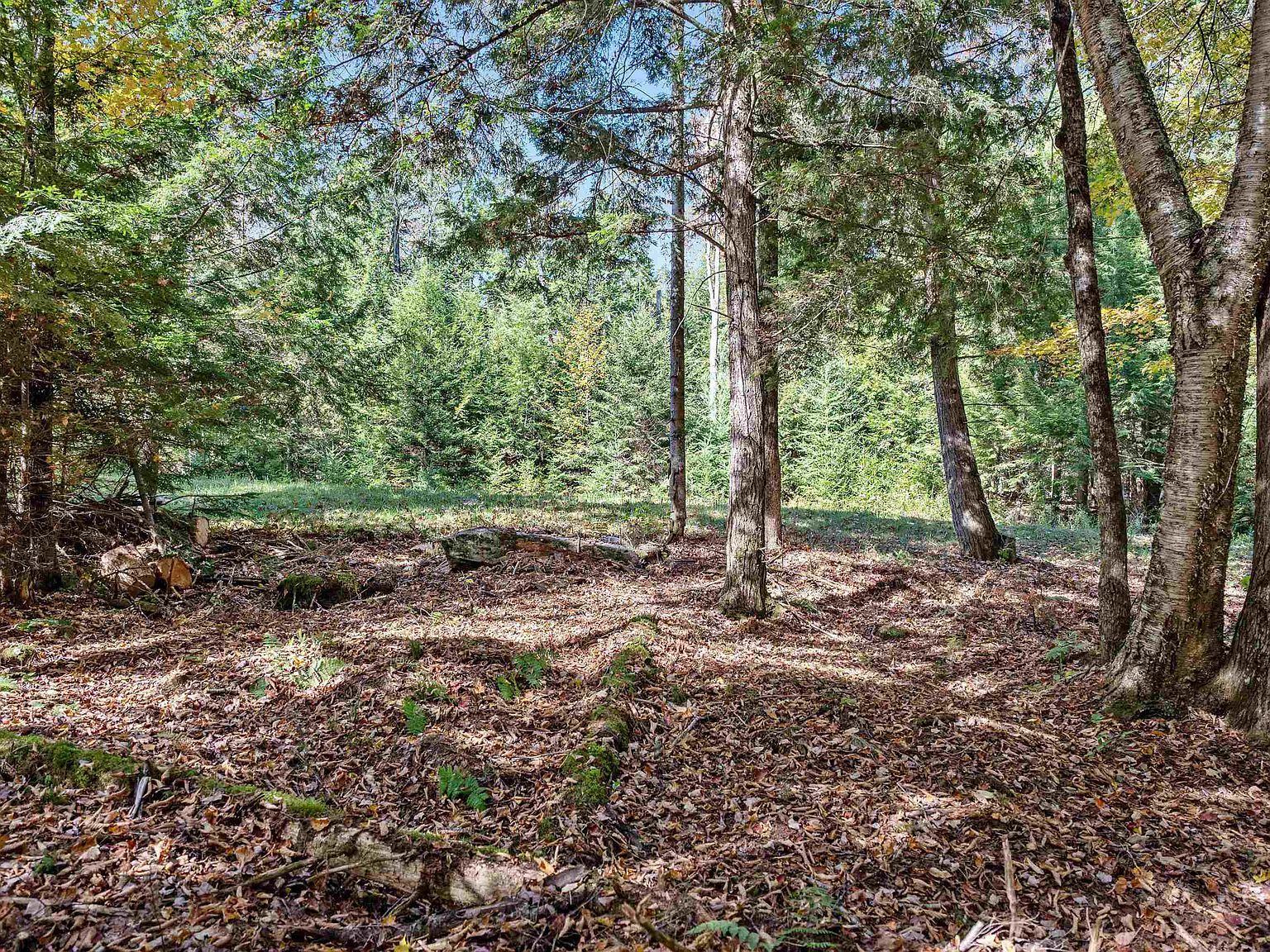 442 State Route 12 #2 Montpelier, VT 05602 - Thumbnail 2