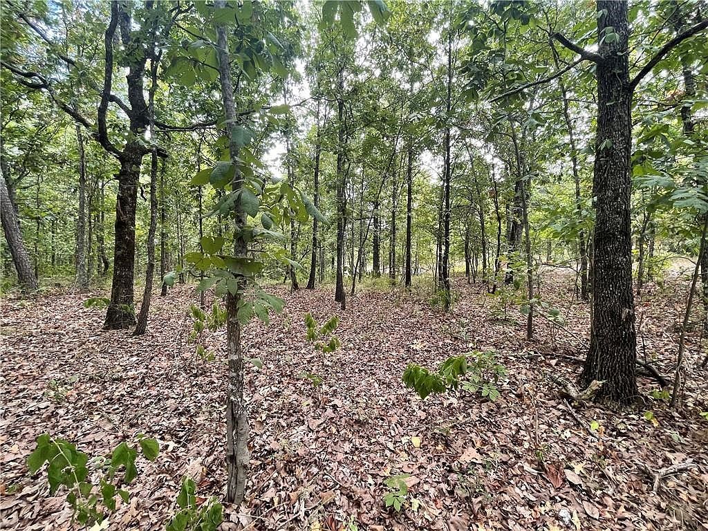 686 Woodland Hills Trl LOT 25 Broken Bow, OK 74728 - Thumbnail 2