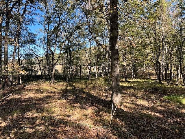 197 Deer Valley Cir LOT 7 Broken Bow, OK 74728 - Thumbnail 2