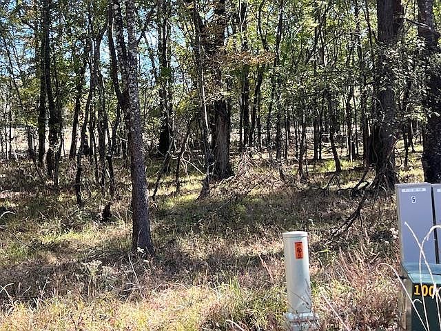 196 Deer Valley Cir LOT 6 Broken Bow, OK 74728 - Thumbnail 2