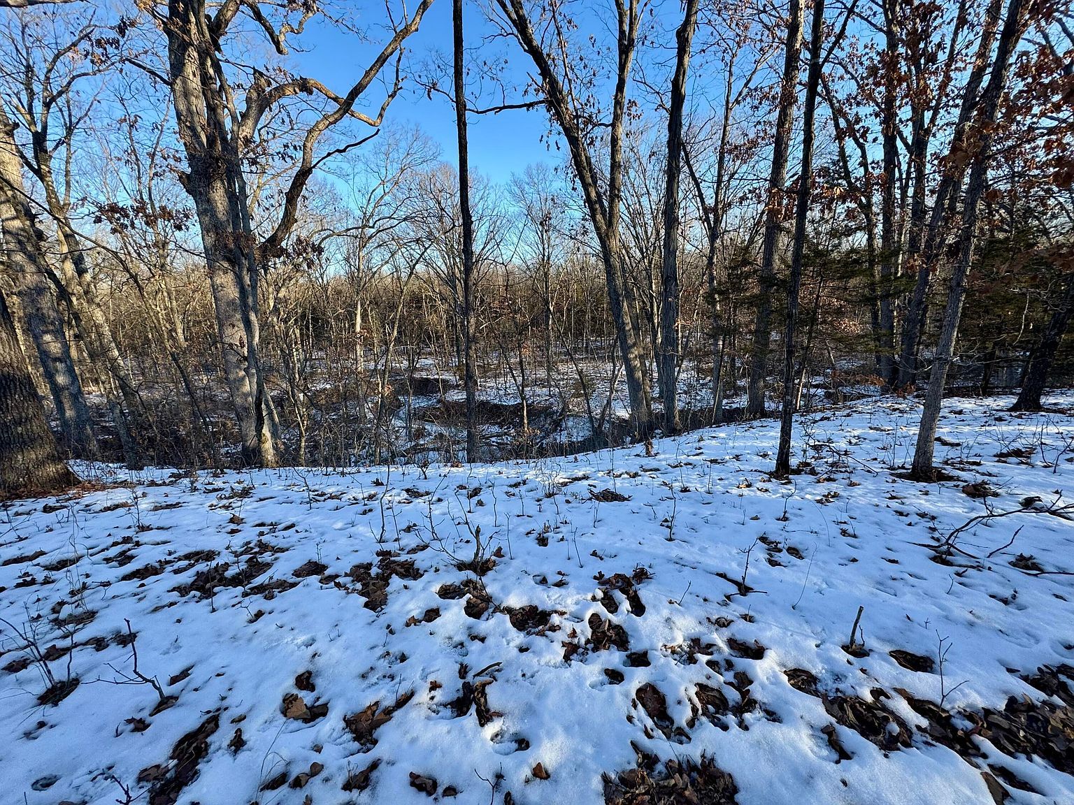 TRACT 3 E Mount Zion Church Rd Hallsville, MO 65255 - Thumbnail 2