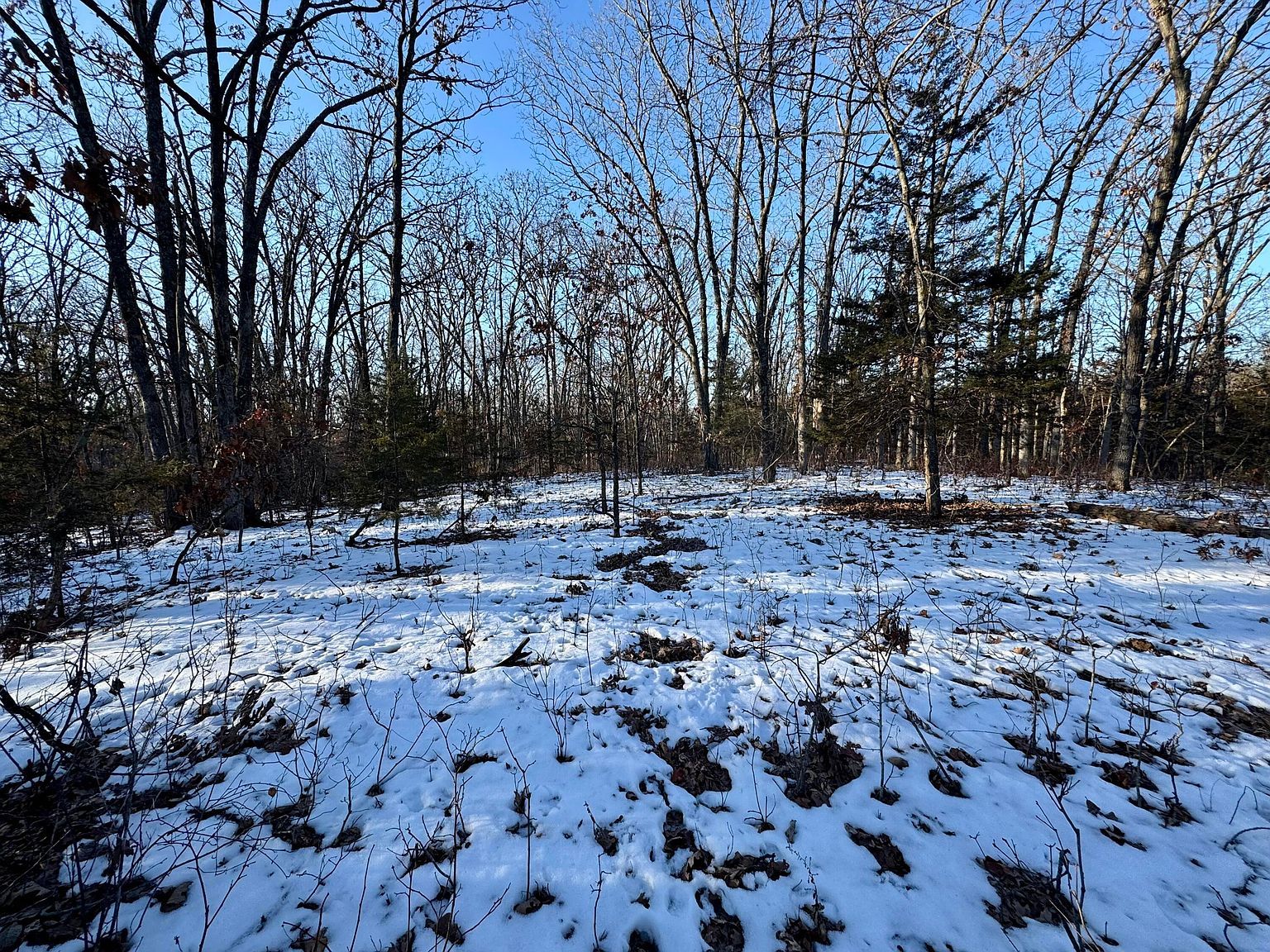 TRACT 2 E Mount Zion Church Rd Hallsville, MO 65255 - Thumbnail 2