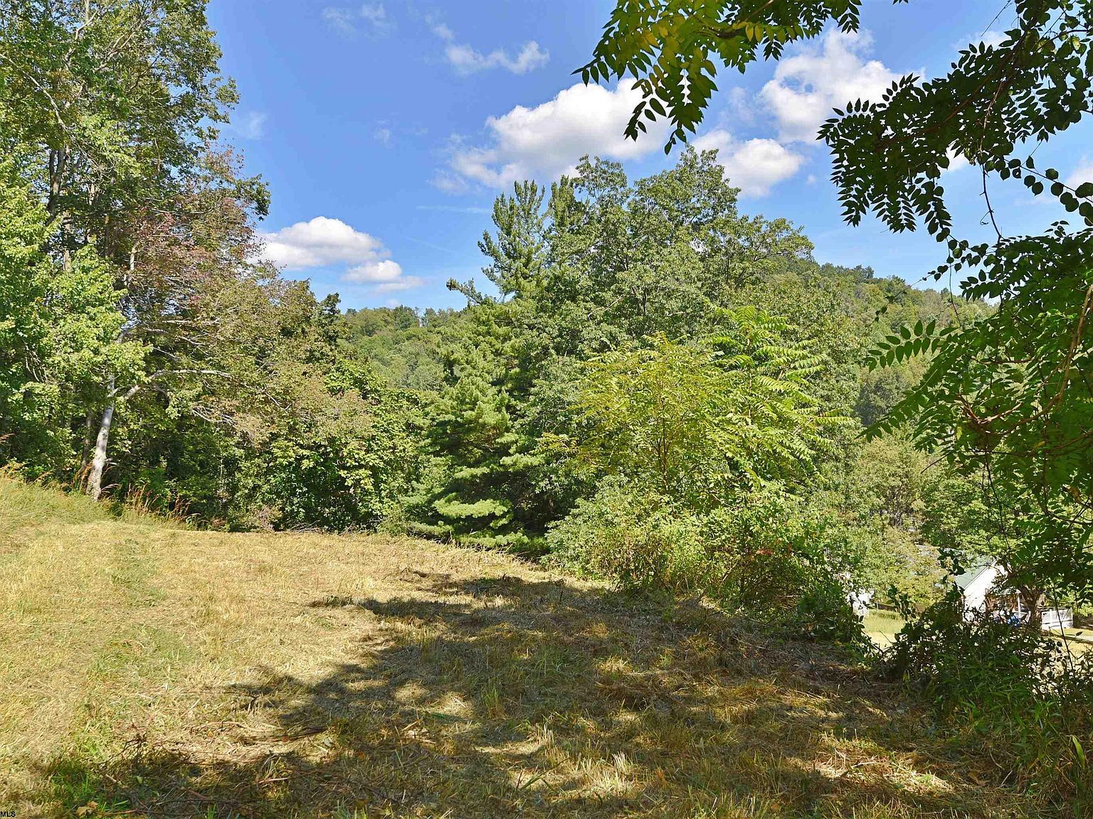 108 Richmond Ave Grafton, WV 26354 - Thumbnail 2