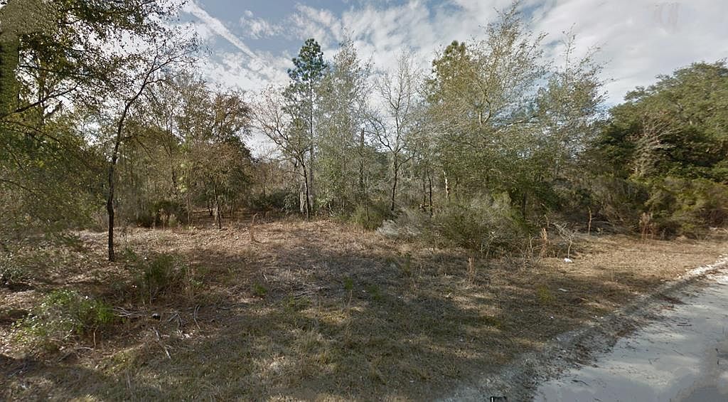 LOT 181 NE 86th St Bronson, FL 32621 - Thumbnail 2
