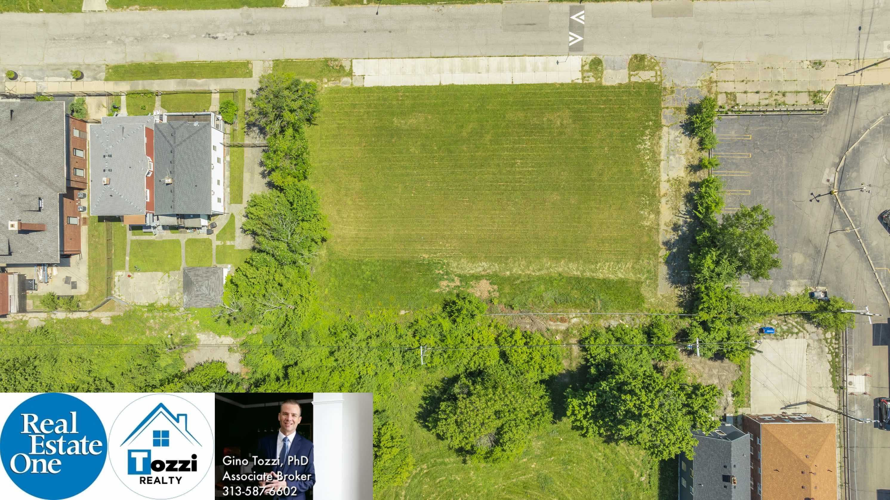 1075 Coplin Street, Detroit, MI, USA, 48215 - Thumbnail 3