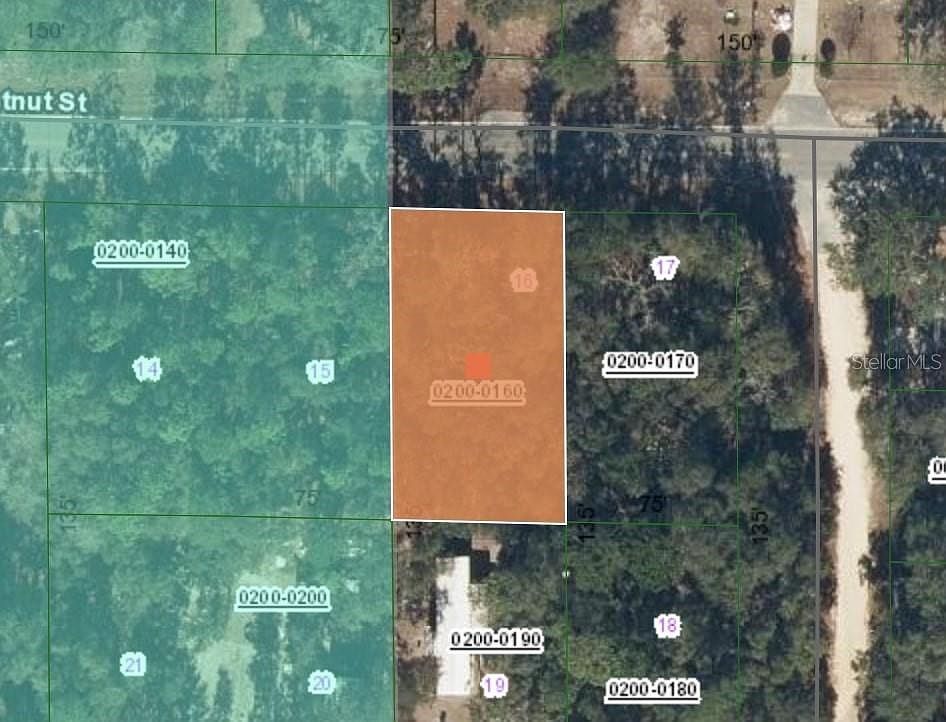 113 Chestnut St Interlachen, FL 32148 - Thumbnail 2