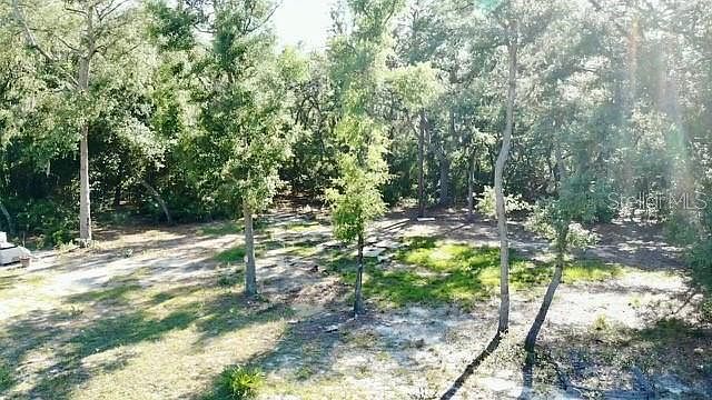 1107 Usina Ave LOT 18 Interlachen, FL 32148 - Thumbnail 2