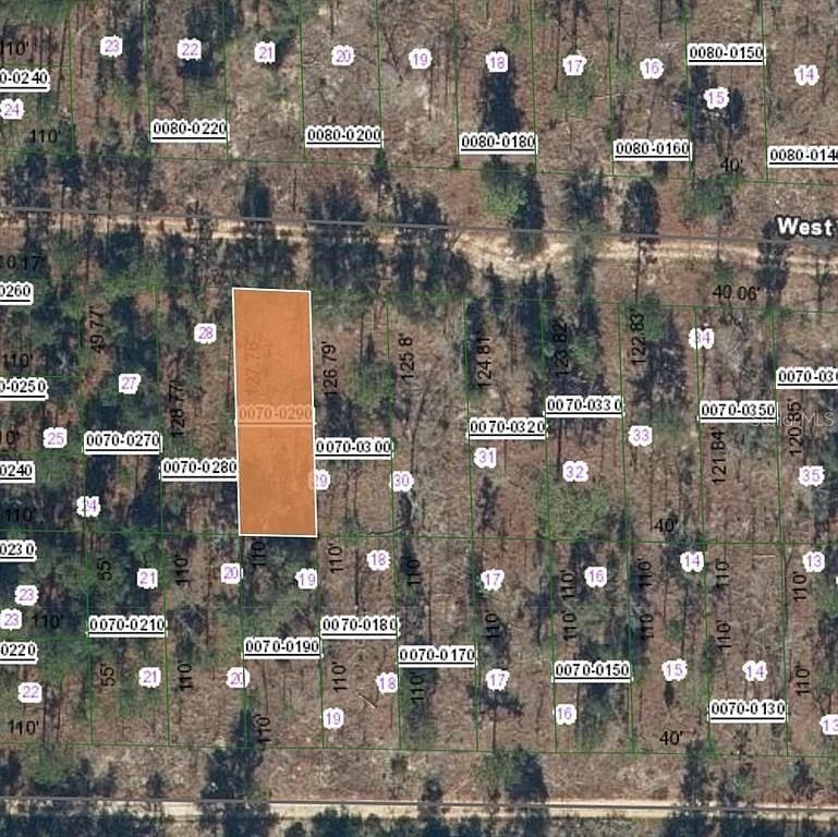 131 W Virginia St #29 Hawthorne, FL 32640 - Thumbnail 2