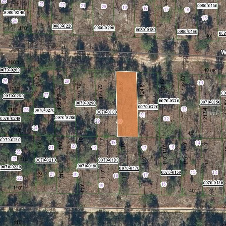 127 W Virginia St #31 Hawthorne, FL 32640 - Thumbnail 2