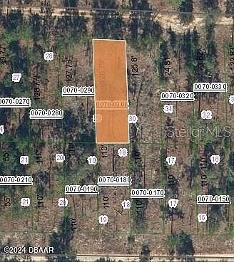 129 W Virginia St Hawthorne, FL 32640 - Thumbnail 2