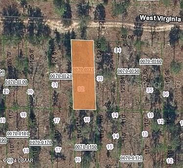 123 W Virginia St Hawthorne, FL 32640 - Thumbnail 2