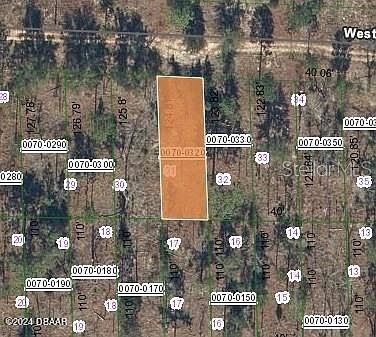 125 W Virginia St Hawthorne, FL 32640 - Thumbnail 2