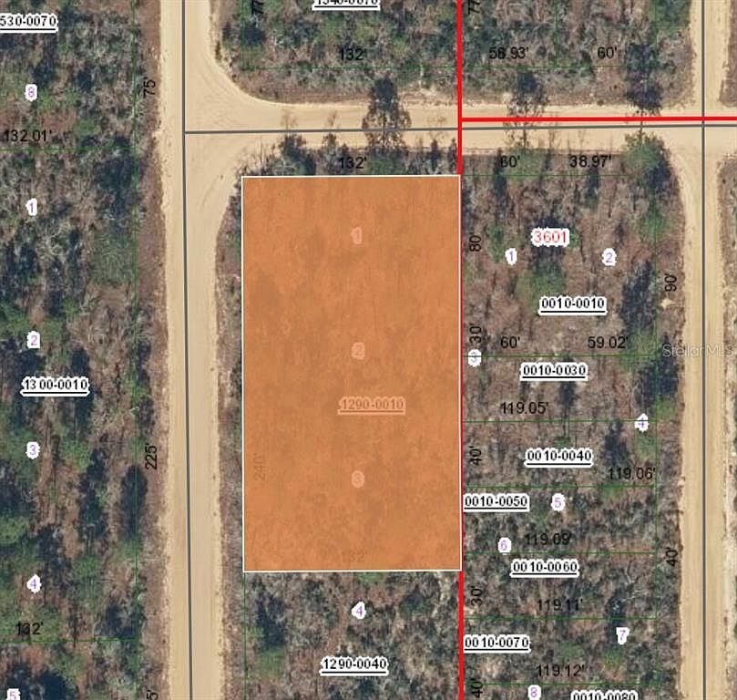 Xx Orchid Ave Interlachen, FL 32148 - Thumbnail 2