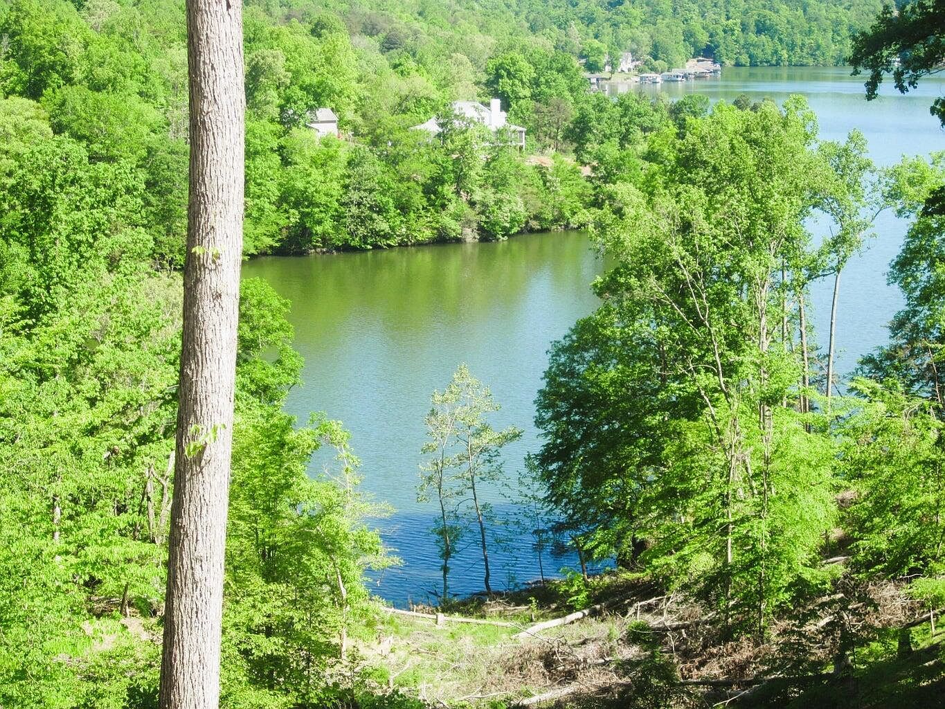 70 Washburn Ct Hardy, VA 24101 - Thumbnail 2