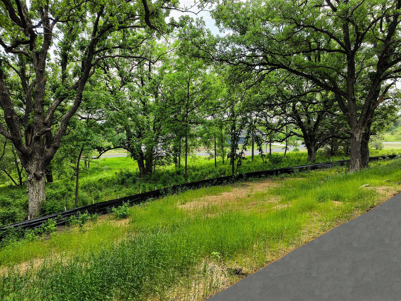 1730 River Shore Dr Hastings, MN 55033  | Land/Lot