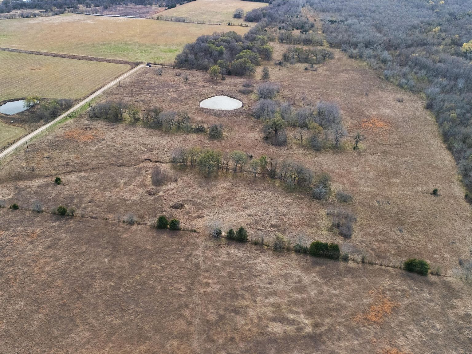 TRACT 7 County Road 2158 Cooper, TX 75432 - Thumbnail 2