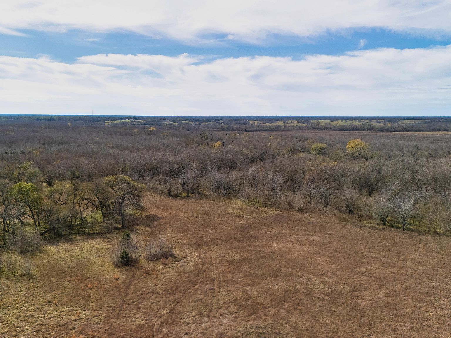 TRACT 9 County Road 2158 Cooper, TX 75432 - Thumbnail 2