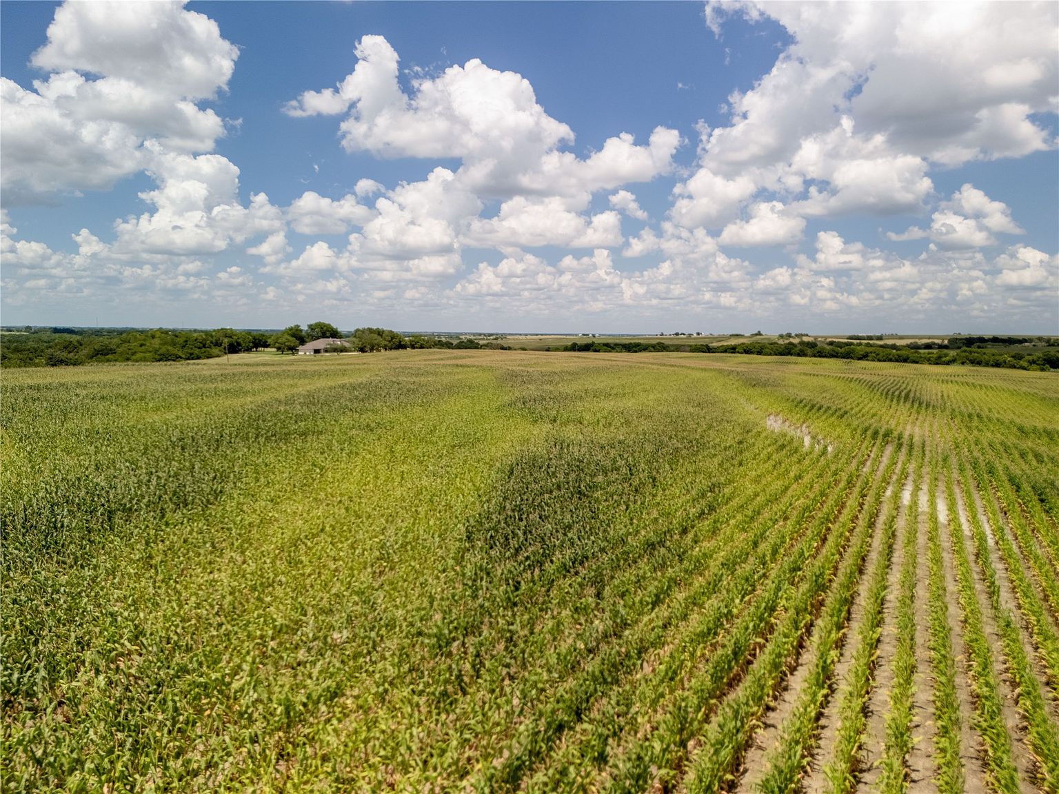 | Tract County Rd #3-3307 Hubbard, TX 76648  | Land/Lot