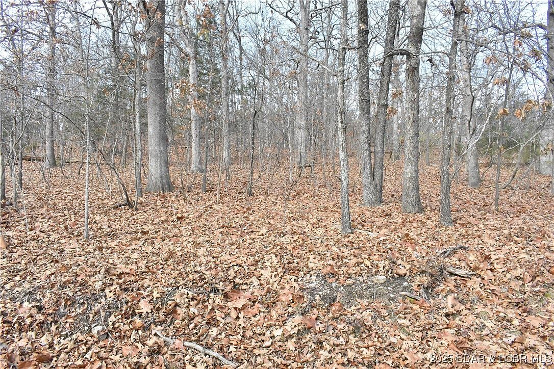 LOT 32 Forrest Hills Dr Lake Ozark, MO 65049 - Thumbnail 2