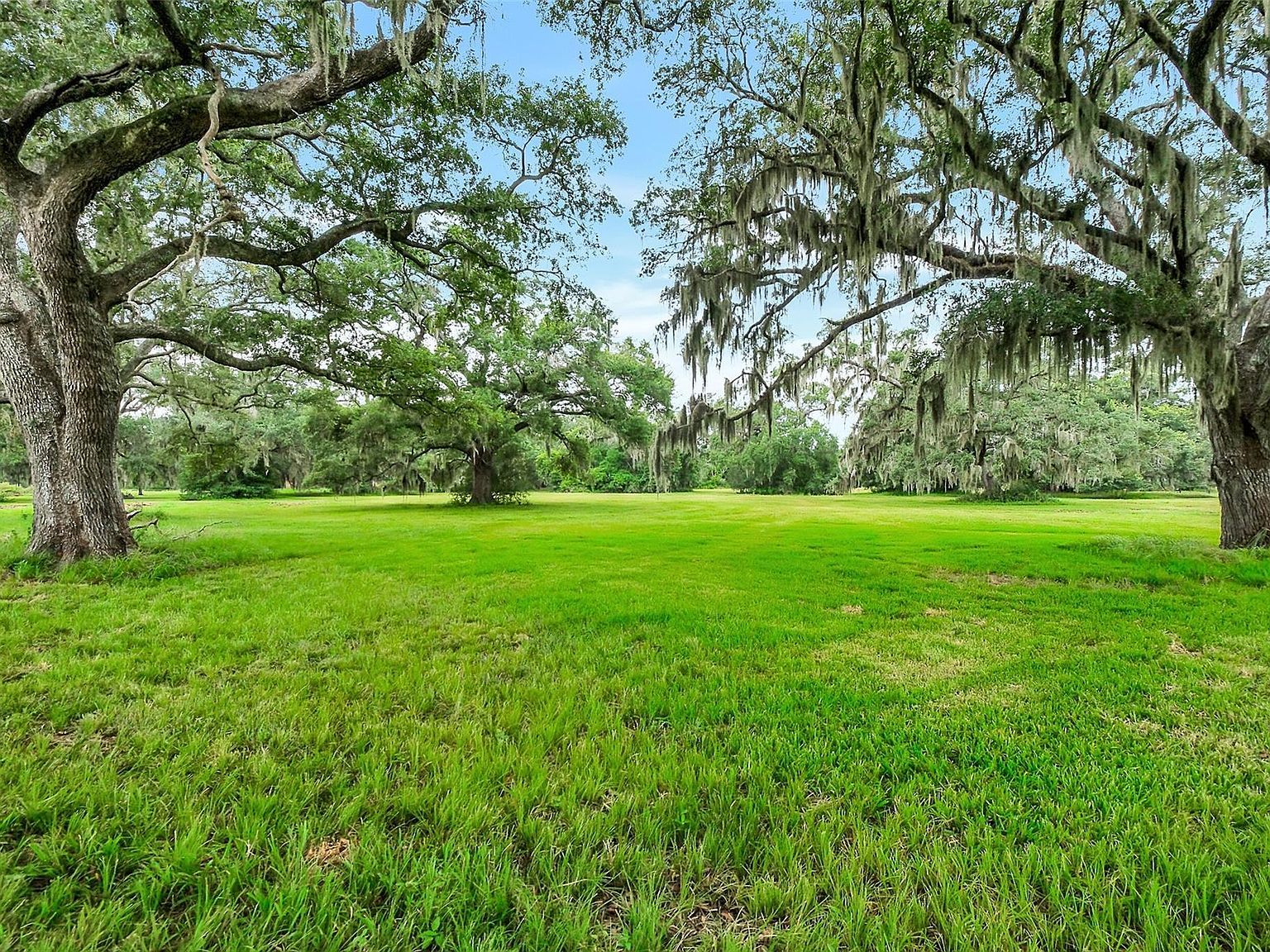 730 & 736 Rancho Chico Ct Angleton, TX 77515 - Thumbnail 2