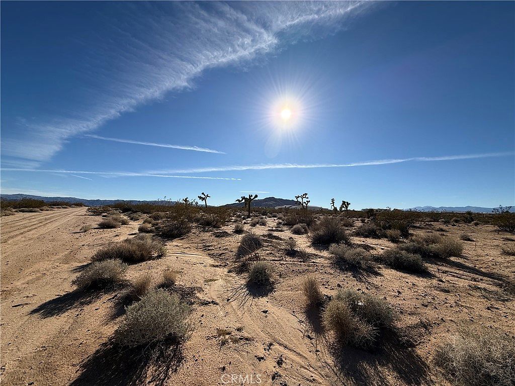 0 Manana Ave LOT 53 Joshua Tree, CA 92252 - Thumbnail 2
