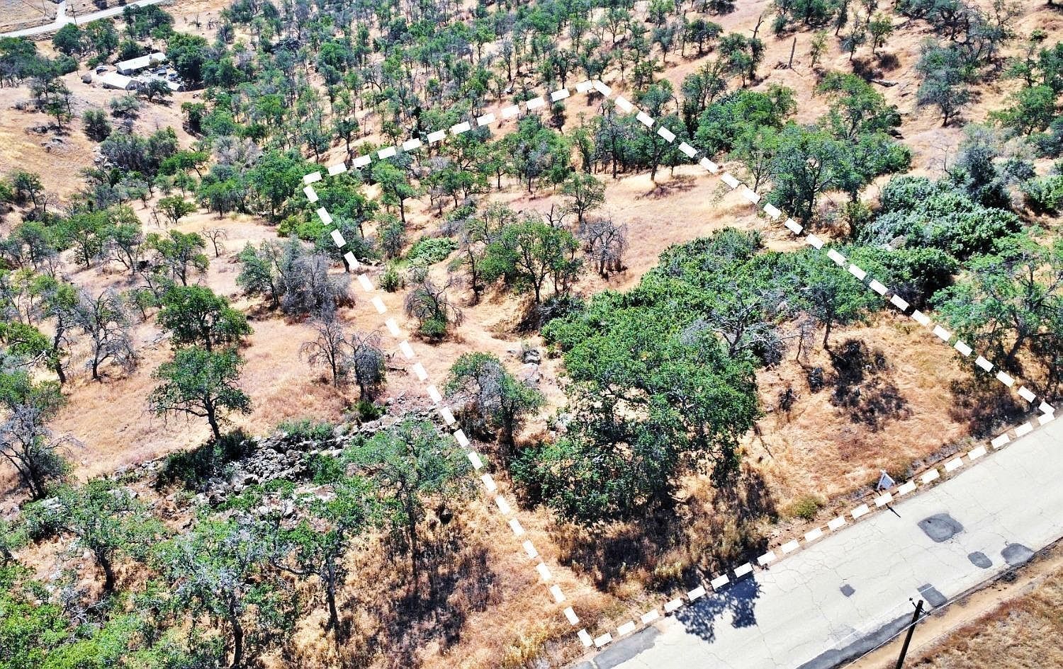 391 Sunflower Ln Squaw Valley, CA 93675  | Land/Lot