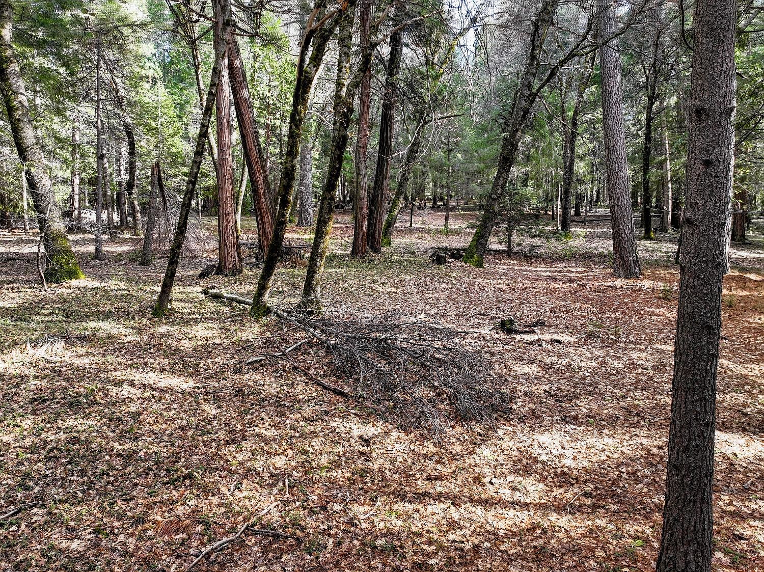 12043 Pasquale Rd Nevada City, CA 95959 - Thumbnail 2