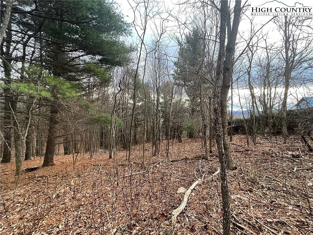 125 Dancing Wind Ct Todd, NC 28684 - Thumbnail 2