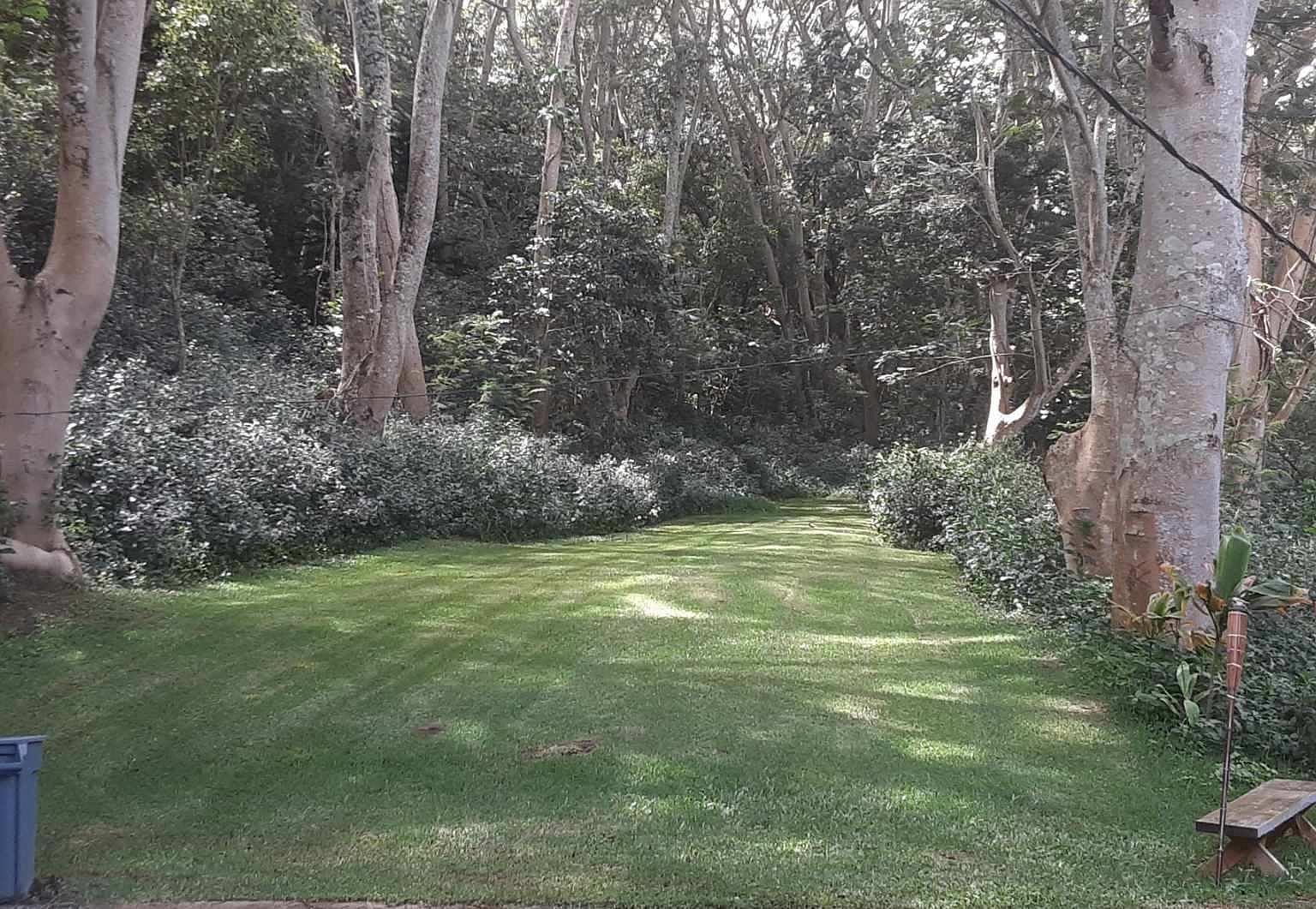 3310 Wawae Rd Kalaheo, HI 96741 - Thumbnail 2