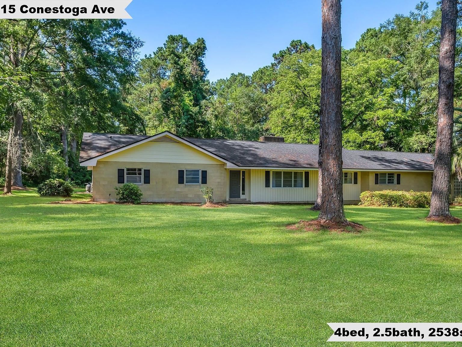 9115 Conestoga Ave Tallahassee, FL 32309 - Thumbnail 2