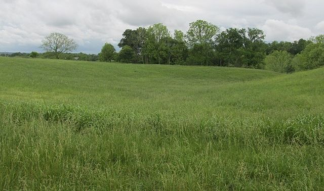 620 Thompson Creek Ln LOT 72 Cookeville, TN 38506 - Thumbnail 2