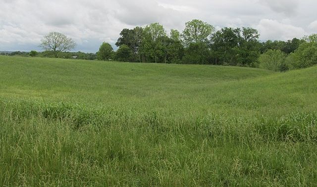 639 Thompson Creek Ln LOT 84 Cookeville, TN 38506 | Land/Lot