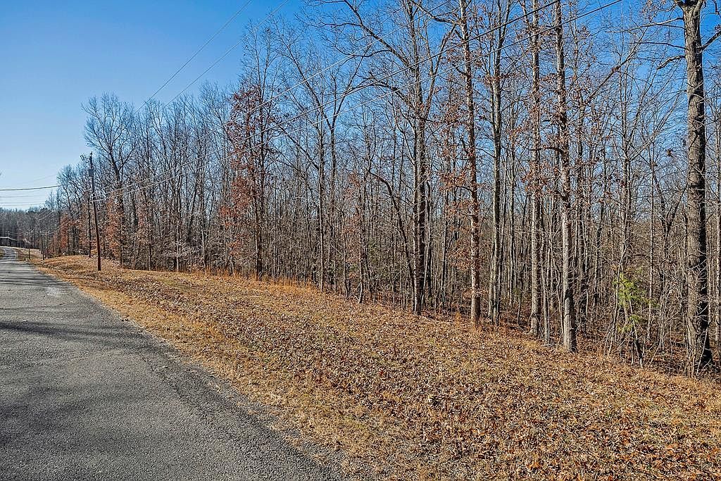 LOT 14 E Overlook Rd Monterey, TN 38574 - Thumbnail 2